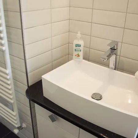 Fontana * 巴拉顿菲赖德