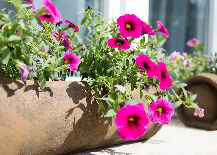 Fontana Апартаменты